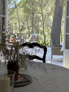 Mas du Grand Pin - Villa sur grande pinède, Site naturel exceptionnel, Calanque du Port d'Alon à 2pas - Saint-Cyr-sur-Mer - 3
