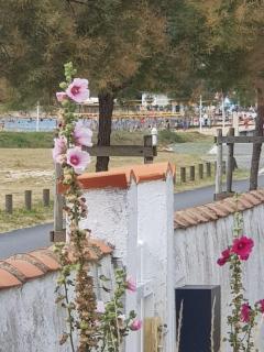 Huitres et mer - Marennes - 0