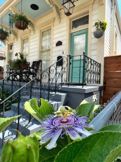 Luxury Historic Shotgun Home in Lower Garden District - New Orleans - 7