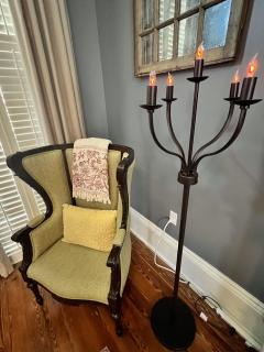 Luxury Historic Shotgun Home in Lower Garden District - New Orleans - 1
