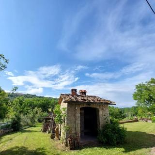 Bellavista Exclusive Tuscan Villa - Ambra - 8