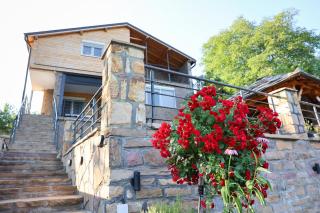 Vila Nemir Zavojsko jezero - 3