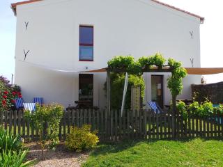 Gîte confortable au cœur des vignes avec terrasse, vélos, WiFi et équipements bébé à 17 km de Nantes - FR-1-306-808 - Châteauthébaud - 7