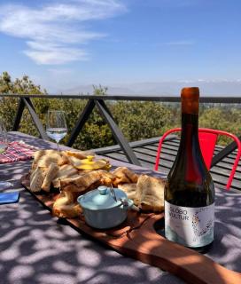 Wine Lodge de Viña Vultur en bosque nativo con piscina - Doñihue - 9