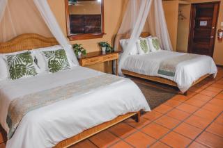The Mayan Garden - Orange Walk Town - 0