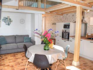 Gîte tout inclus à Joué-lès-Tours avec grand jardin, proche châteaux et nature - FR-1-381-545 - Joué-lés-Tours - 9