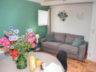 Gîte tout inclus à Joué-lès-Tours avec grand jardin, proche châteaux et nature - FR-1-381-545 - Joué-lés-Tours - 1