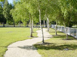 Hanmer Springs Forest Camp Trust - Hanmer Springs - 9