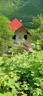 TARA RIVER HOUSE - - 7