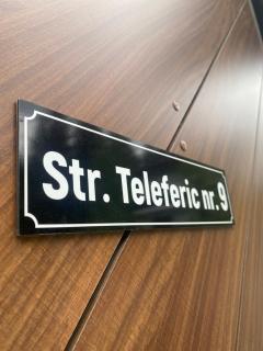 Teleferic9 - Predeal - 3