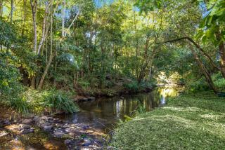 Tranquil Getaways On Obi Maleny - Maleny - 5