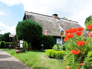 Attractive holiday home in Ahlbeck with terrace - Ahlbeck - 0