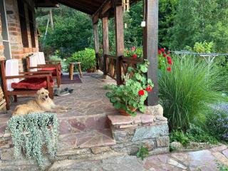Traditional Cottage - Vila Samovila - 5