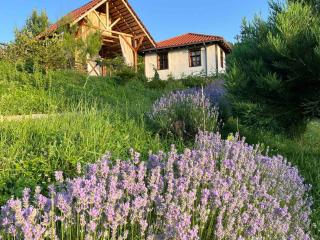 Traditional Cottage - Vila Samovila - 2