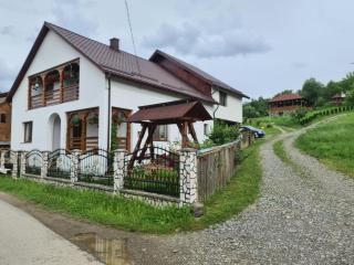 Pensiunea Mirela - Poienile Izei - 0