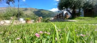 B&B da Maria Teresa - Maratea - Maratea - 0