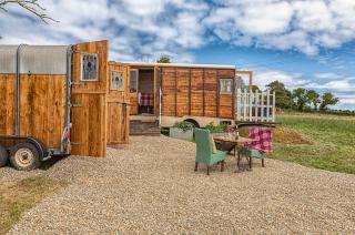 Dennis - Goodwick - 6