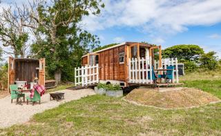 Dennis - Goodwick - 7
