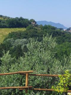 Casa Nupa - Torri in Sabina - 6