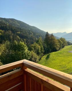 Les Lucioles - Charming flat in the mountains - Saint-Jean-de-Sixt - 9