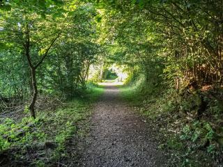 Tranquillity-Uk38552 - Endon - 4
