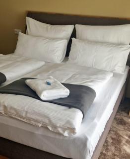 Hotel Rhin Inn - Fehrbellin - 9
