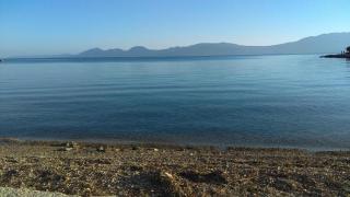 Apartment in Sucuraj with sea view, balcony, air conditioning, WiFi 3560-2 - Sućuraj (San Giorgio) - 4