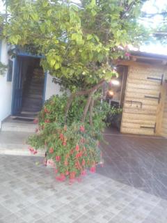 Apartment in Sucuraj with sea view, balcony, air conditioning, WiFi 3560-1 - Sućuraj (San Giorgio) - 7
