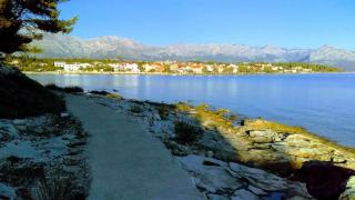 Apartment in Sucuraj with sea view, balcony, air conditioning, WiFi 3560-1 - Sućuraj (San Giorgio) - 1