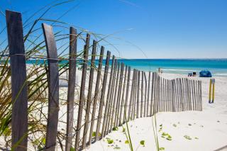 120 Palm Beach Dr A - La Casa Turquesa - Panama City Beach - 4