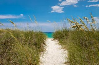 Cute Beach Cottage Steps to the Beach! Panama City Beach, FL! - Panama City Beach - 9