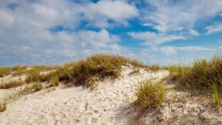 Beautiful Townhome Right On The Gulf - Get Ready To Relax! - Panama City Beach - 4