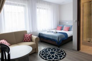 Villa Andalucia SPA & Leisure - Ciechocinek - 8