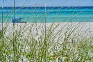 Fabulous Modern Beach House - 4BR, 35BA: POOL/Beach View & Access/Balcony - Panama City Beach - 9