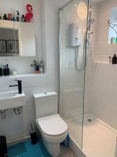Lovely 1 Bedroom Flat in zone 1/2 London - 4