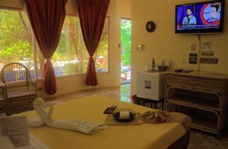 Deep Forest Garden Hotel - Puerto Princesa - 6