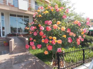 Hotel Holiday - Eforie Nord - 8