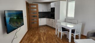Brand New Two Bedroom and One Living Room Apartment in a Great Location! - Sarajevo - 7