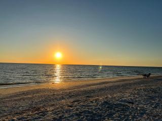 PAG Beachhouse Rentals - St Pete Beach - 9