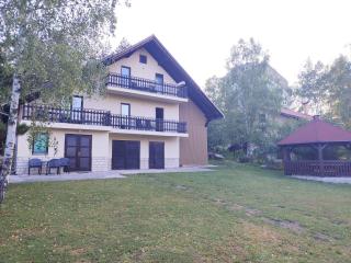 vila Zoran - Zlatibor - 9