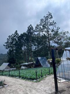 The Backyard Glamping Cameron Highlands - Tanah Rata - 2