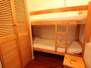 2 pièces, 5 pers, proche pistes/commerces, animaux admis - FR-1-411-793 - 5