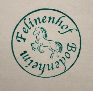 Ferienwohnung Felinenhof - Weilerswist - 2