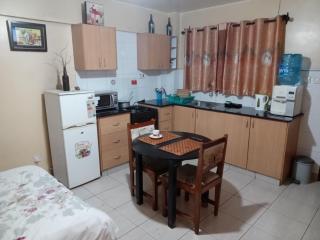 Budget Studio Apartment - with Fast Wifi and Netflix - Nairobi - 4