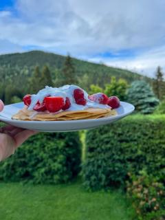 Pension Harrachov - Harrachov - 6