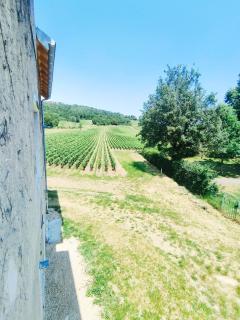 Gite du Moulin Brochat 3 - - 4