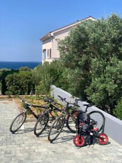 Clear Water Apartment - Sea and Sun - Mandre - 9
