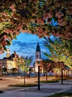 City Nest in the heart of Oradea - Oradea - 3