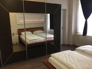 City Nest in the heart of Oradea - Oradea - 8