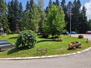 PinePino Borovets, aparthotel Borovets Gardens A60 - 8
